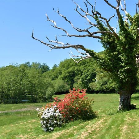 River Lodge - Cornwall Cardinham Экстерьер фото