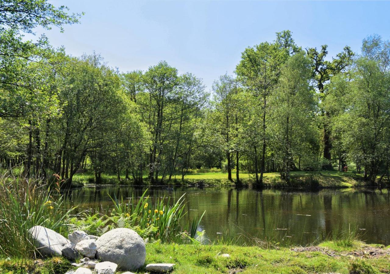 River Lodge - Cornwall Cardinham Экстерьер фото