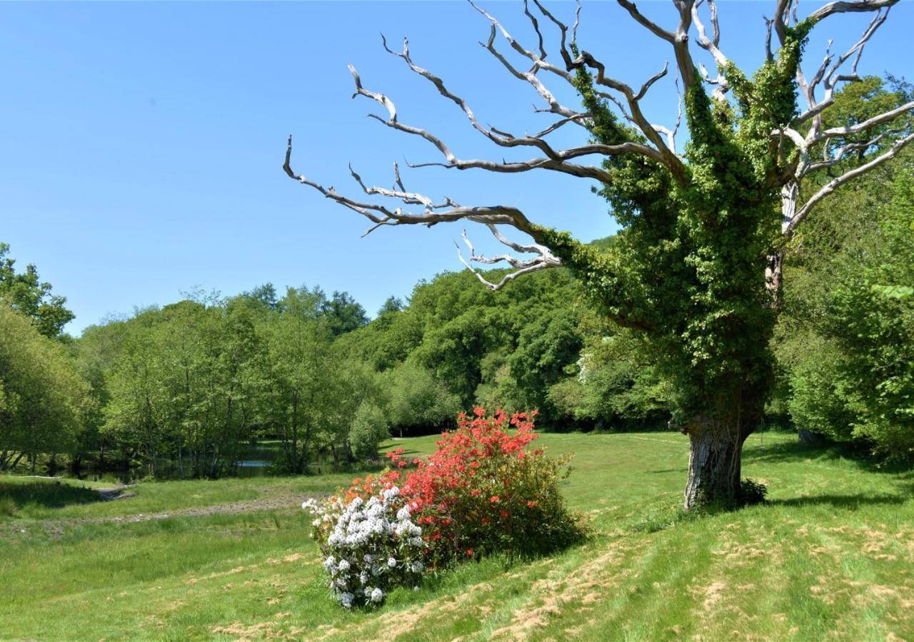 River Lodge - Cornwall Cardinham Экстерьер фото