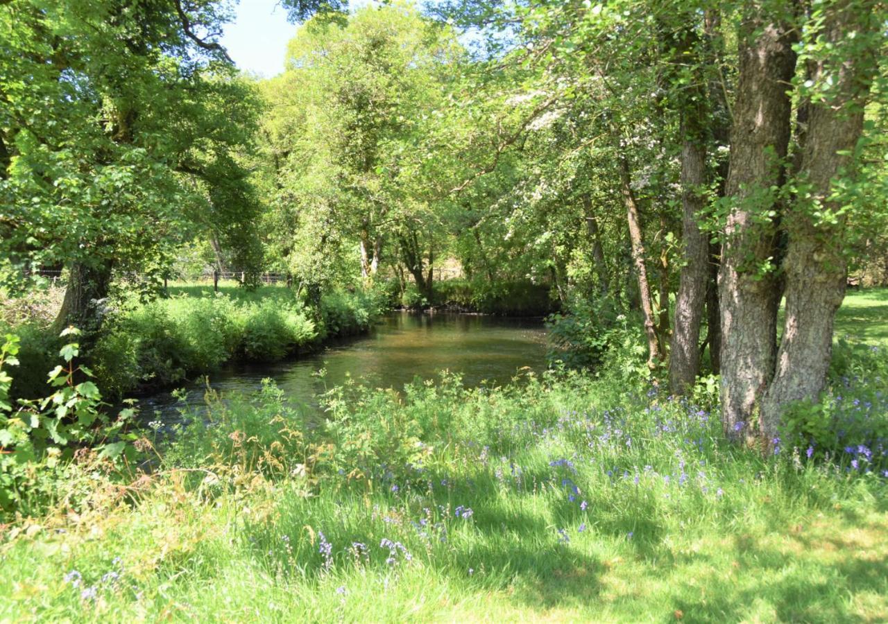 River Lodge - Cornwall Cardinham Экстерьер фото